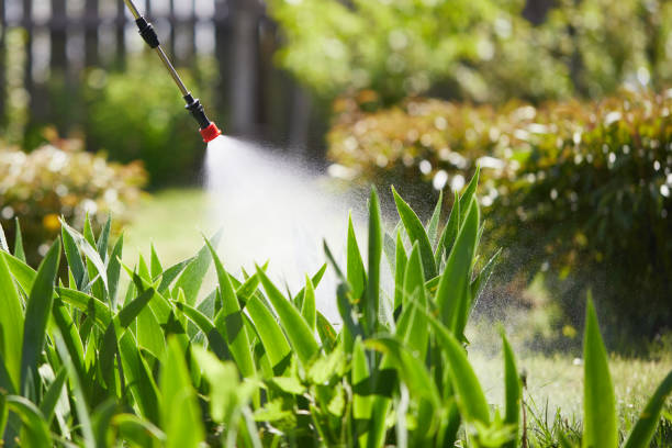 24/7 Emergency Wasp Removal experts in Meggett, SC