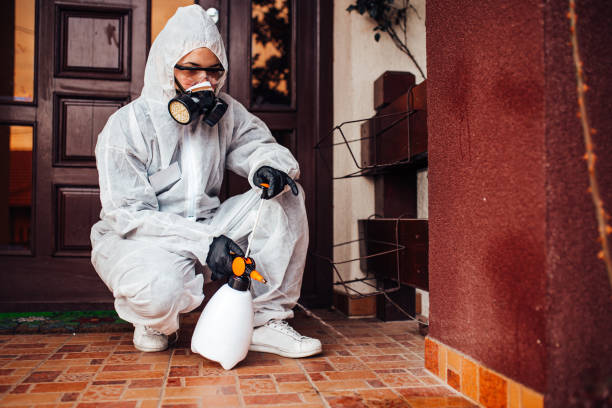 Reliable Wasp Removal contractor in Meggett, SC by Show Me Pest Control